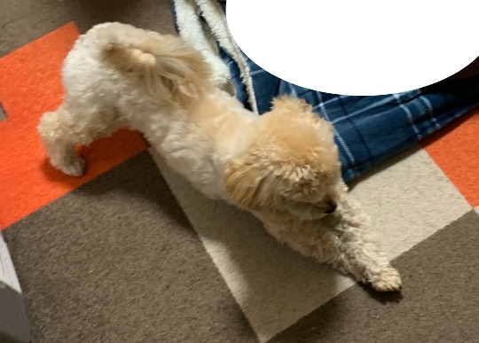 生き物ルーム第34