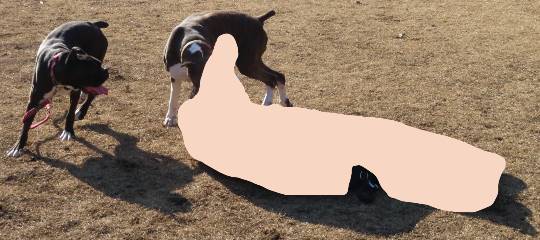 生き物ルーム第34