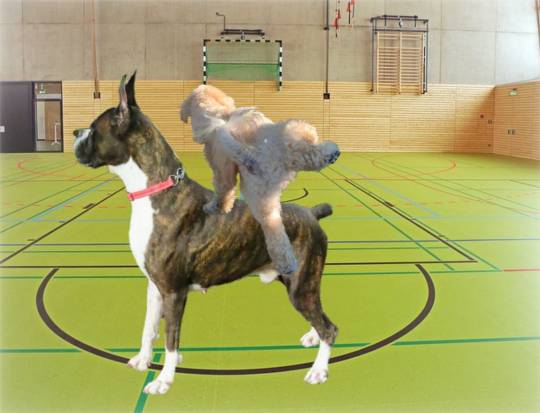 生き物ルーム第34