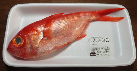 生き物ルーム第35