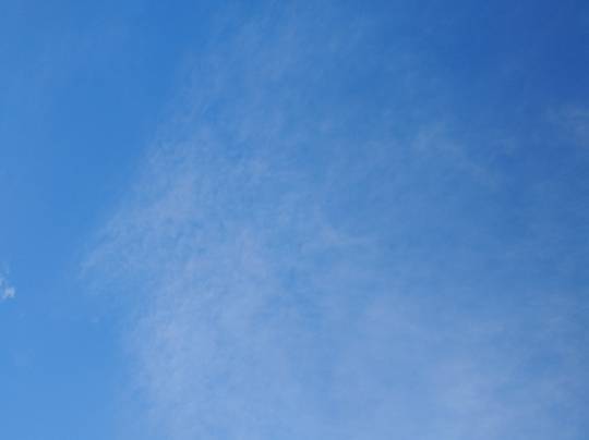 ★ドンキ♡♡ロピア 雑談15★