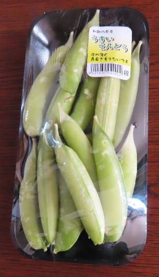 生き物ルーム第34