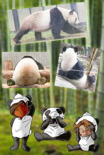 生き物ルーム第35