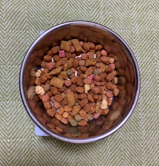 生き物ルーム第36