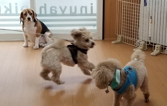 生き物ルーム第34