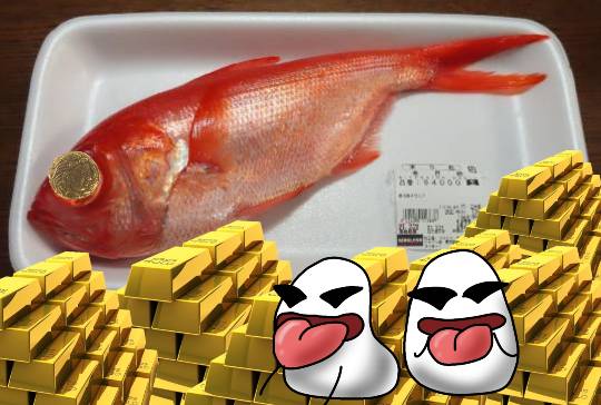 生き物ルーム第35