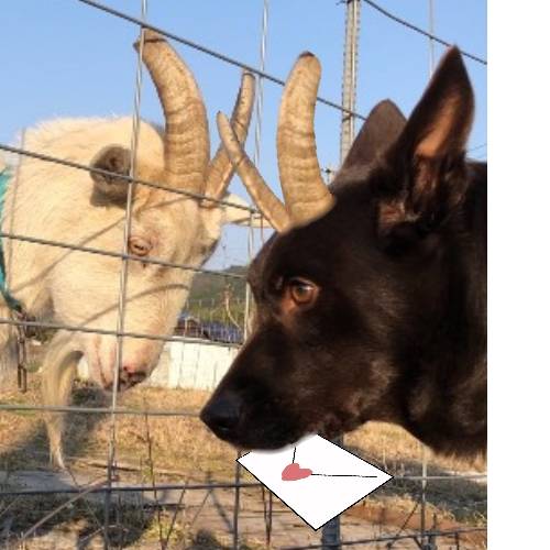 生き物ルーム第35