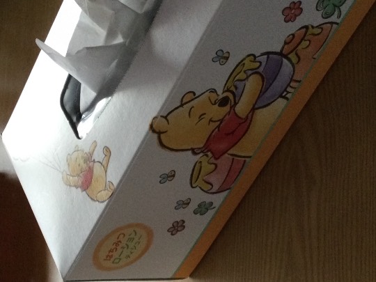 マスク同窓会詰所兼ニューフェイス歓迎所16