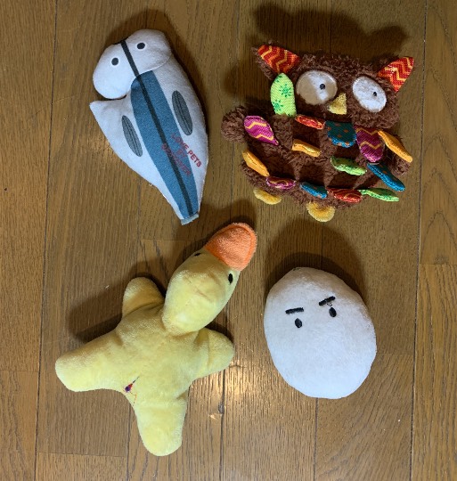 生き物ルーム第34