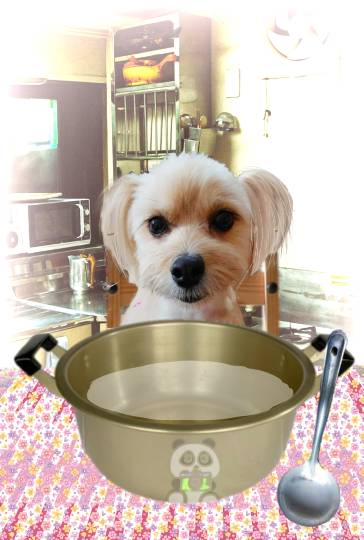 生き物ルーム第34