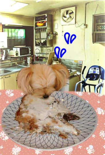 生き物ルーム第35