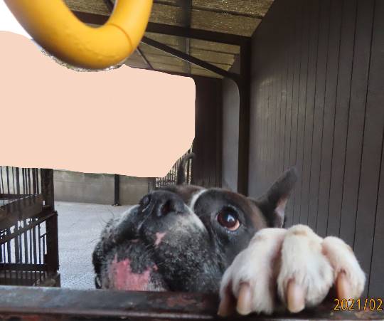 生き物ルーム第34