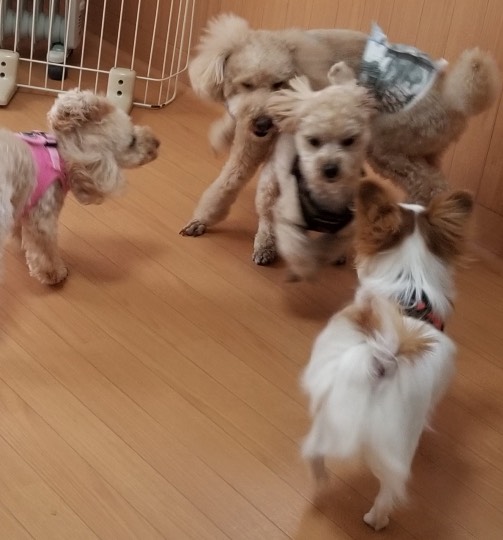 生き物ルーム第36