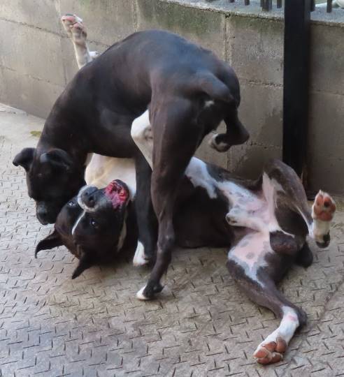 生き物ルーム第35