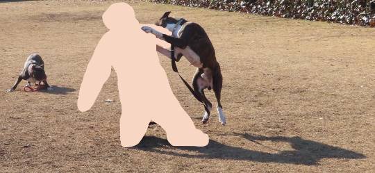 生き物ルーム第34