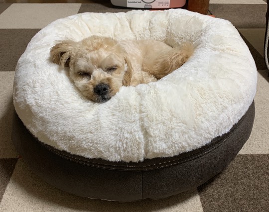 生き物ルーム第35