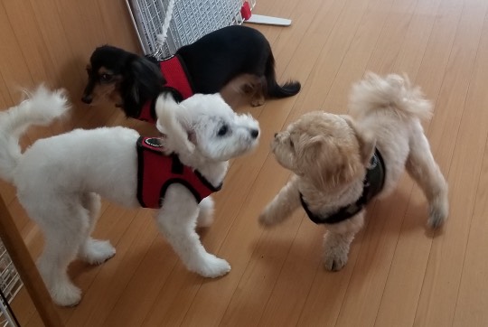 生き物ルーム第34