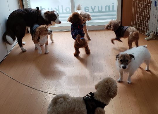 生き物ルーム第33