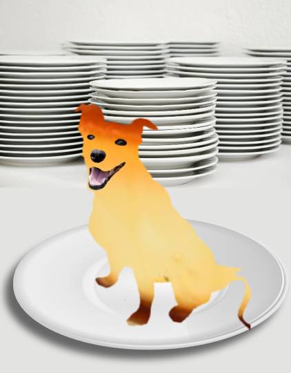 生き物ルーム第35