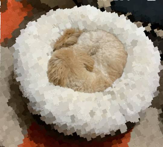 生き物ルーム第36