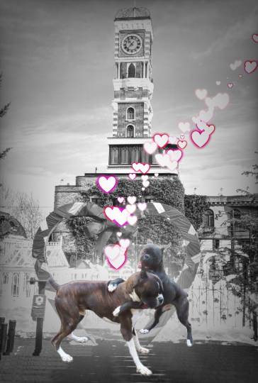 生き物ルーム第35