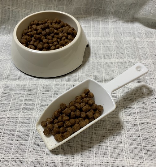 生き物ルーム第36