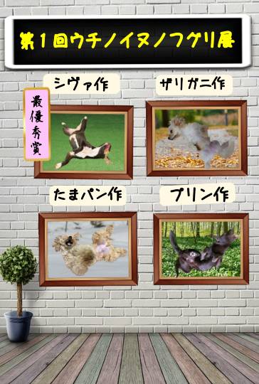 生き物ルーム第34