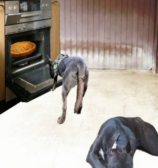 生き物ルーム第35