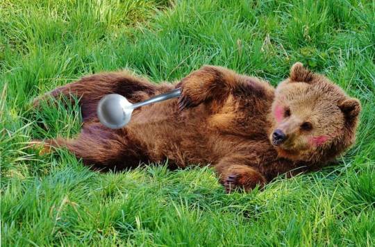 生き物ルーム第34