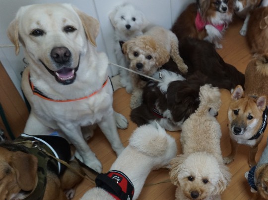 生き物ルーム第34