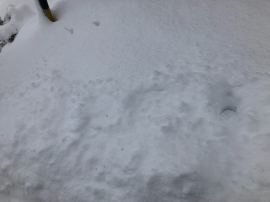 ★ドンキ♡♡ロピア 雑談15★