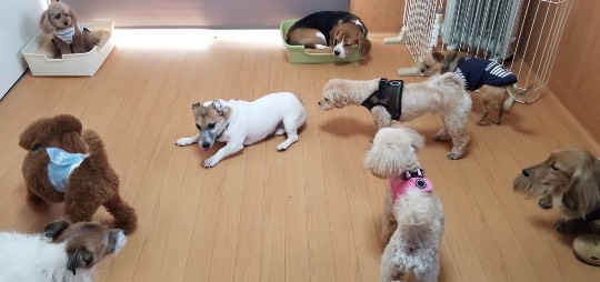 生き物ルーム第36