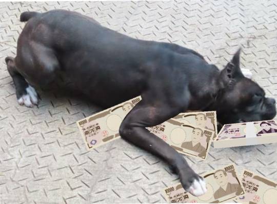 生き物ルーム第34