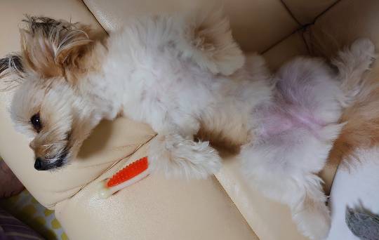 生き物ルーム第34