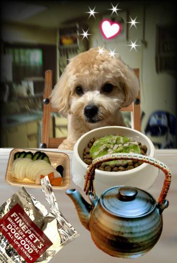 生き物ルーム第36