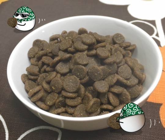 生き物ルーム第36