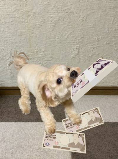 生き物ルーム第34