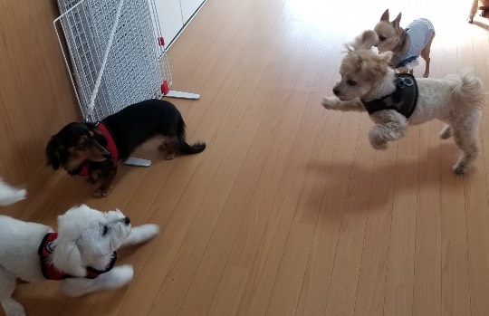 生き物ルーム第34