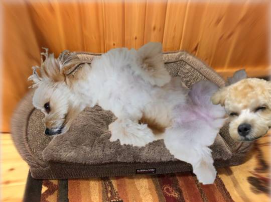 生き物ルーム第35