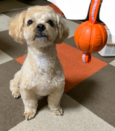 生き物ルーム第35