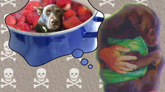 生き物ルーム第36