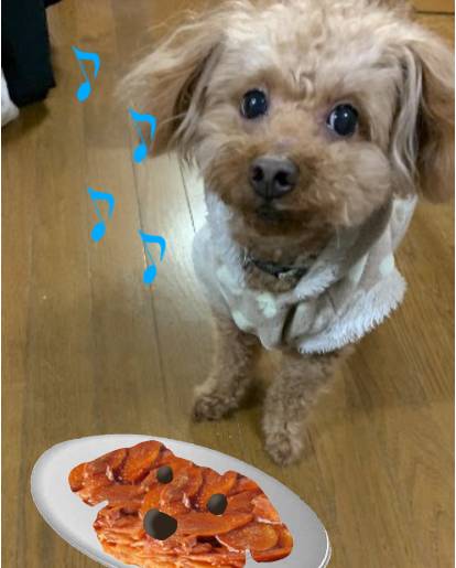 生き物ルーム第34