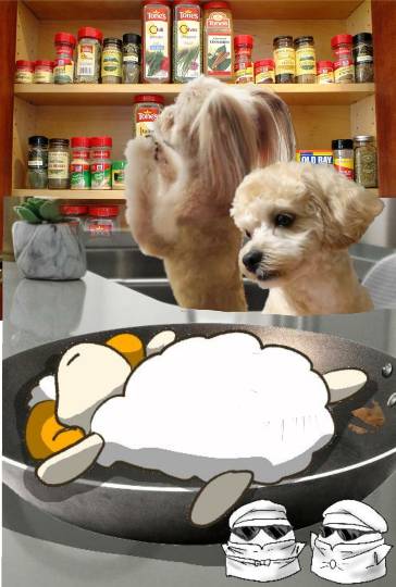 生き物ルーム第35