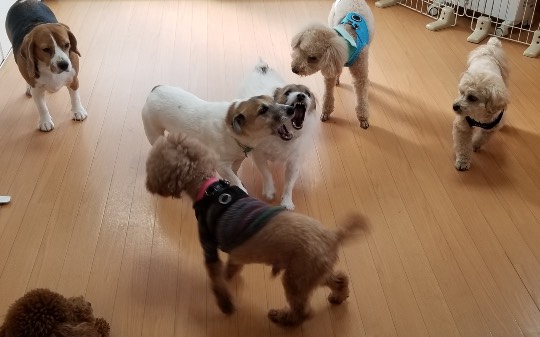 生き物ルーム第34