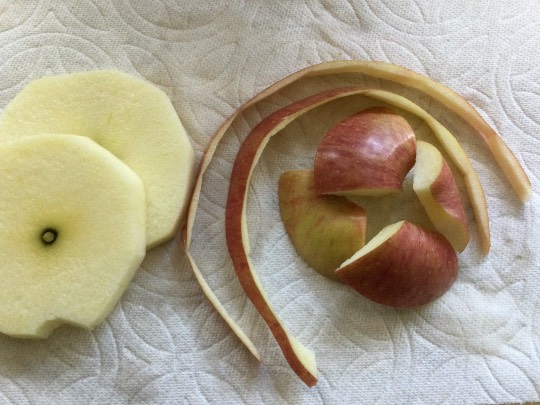 マスク同窓会詰所兼ニューフェイス歓迎所15