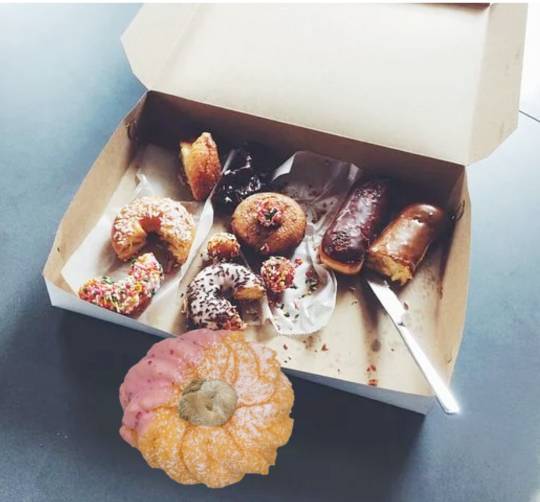 生き物ルーム第36