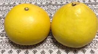 ★ドンキ♡♡ロピア 雑談13★