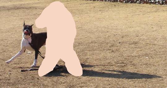 生き物ルーム第34