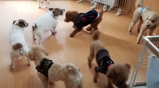 生き物ルーム第34