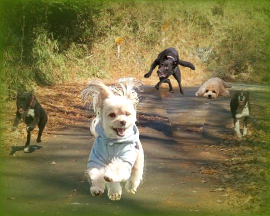 生き物ルーム第35